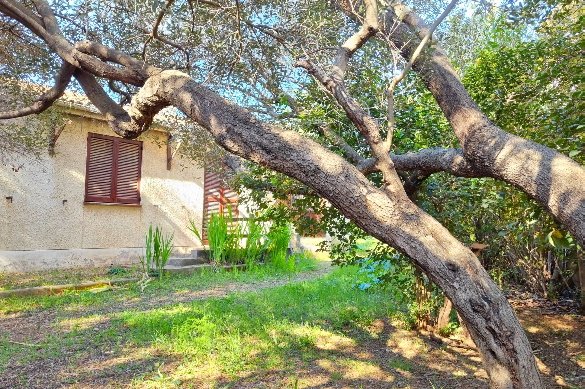 Villa avec parcelle arborée à vendre en fond d'impasse à La Seyne