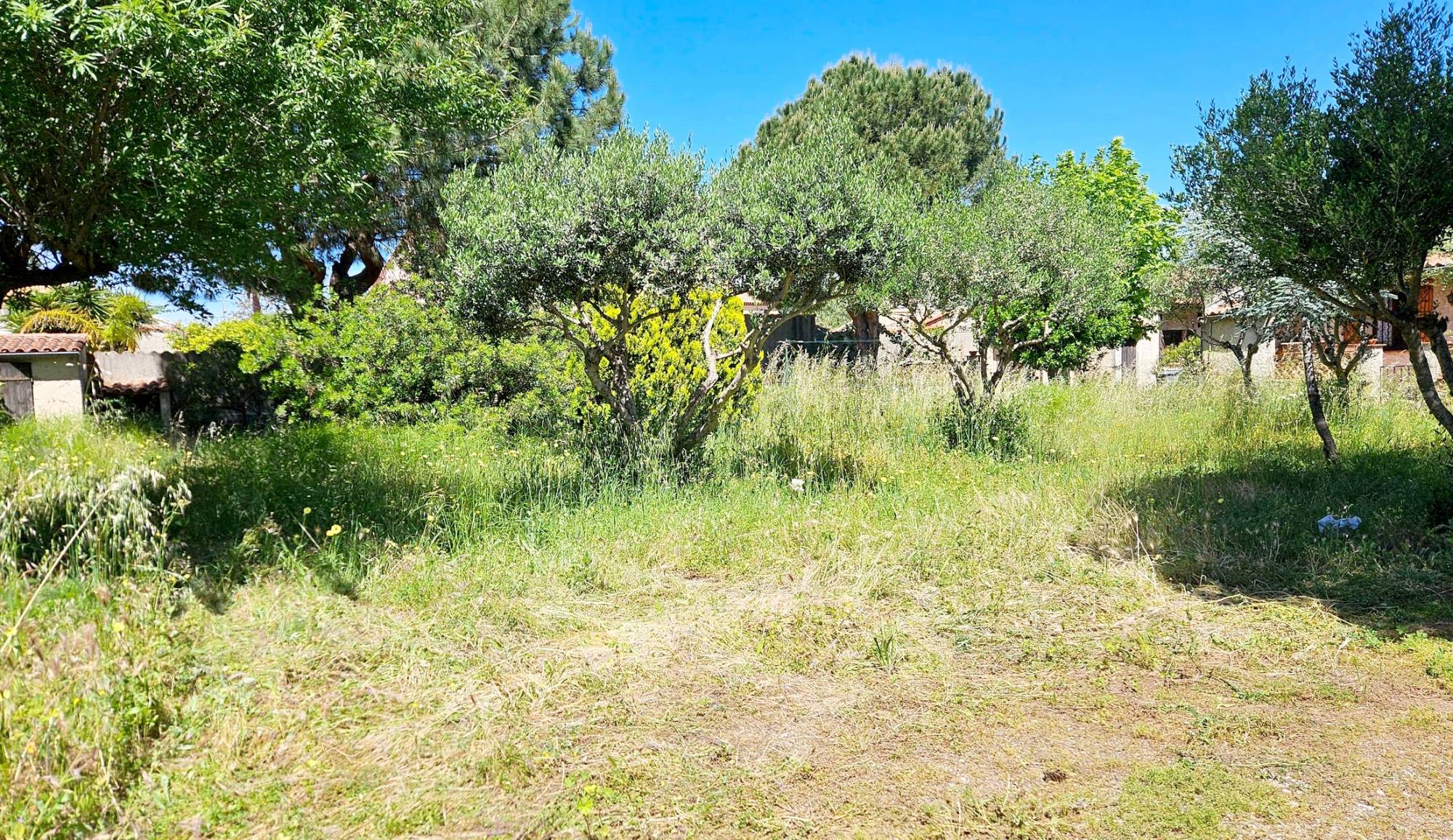 Terrain constructible pour maison individuelle proposée à la vente en exclusivité par notre agence immobilière à La Seyne-sur-Mer