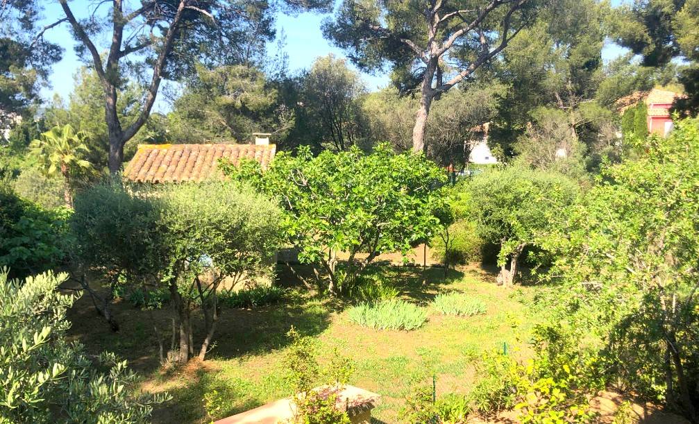 Une vue dégagée sur la verdure