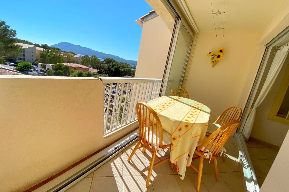 Appartement T2 avec terrasse à vendre à Pin Rolland