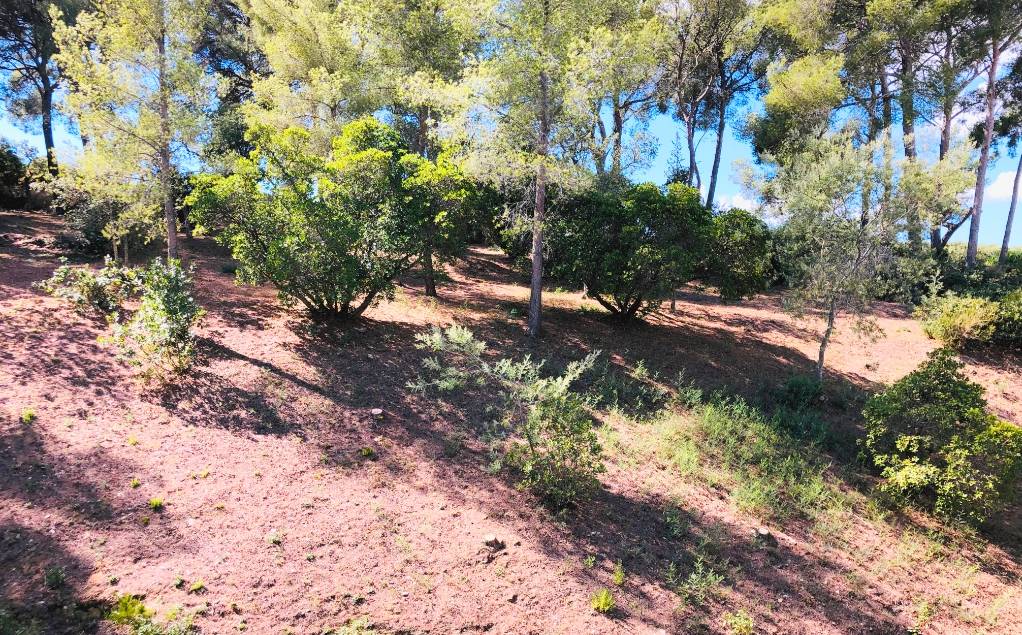 Vue agréable et sans vis-à-vis depuis le balcon