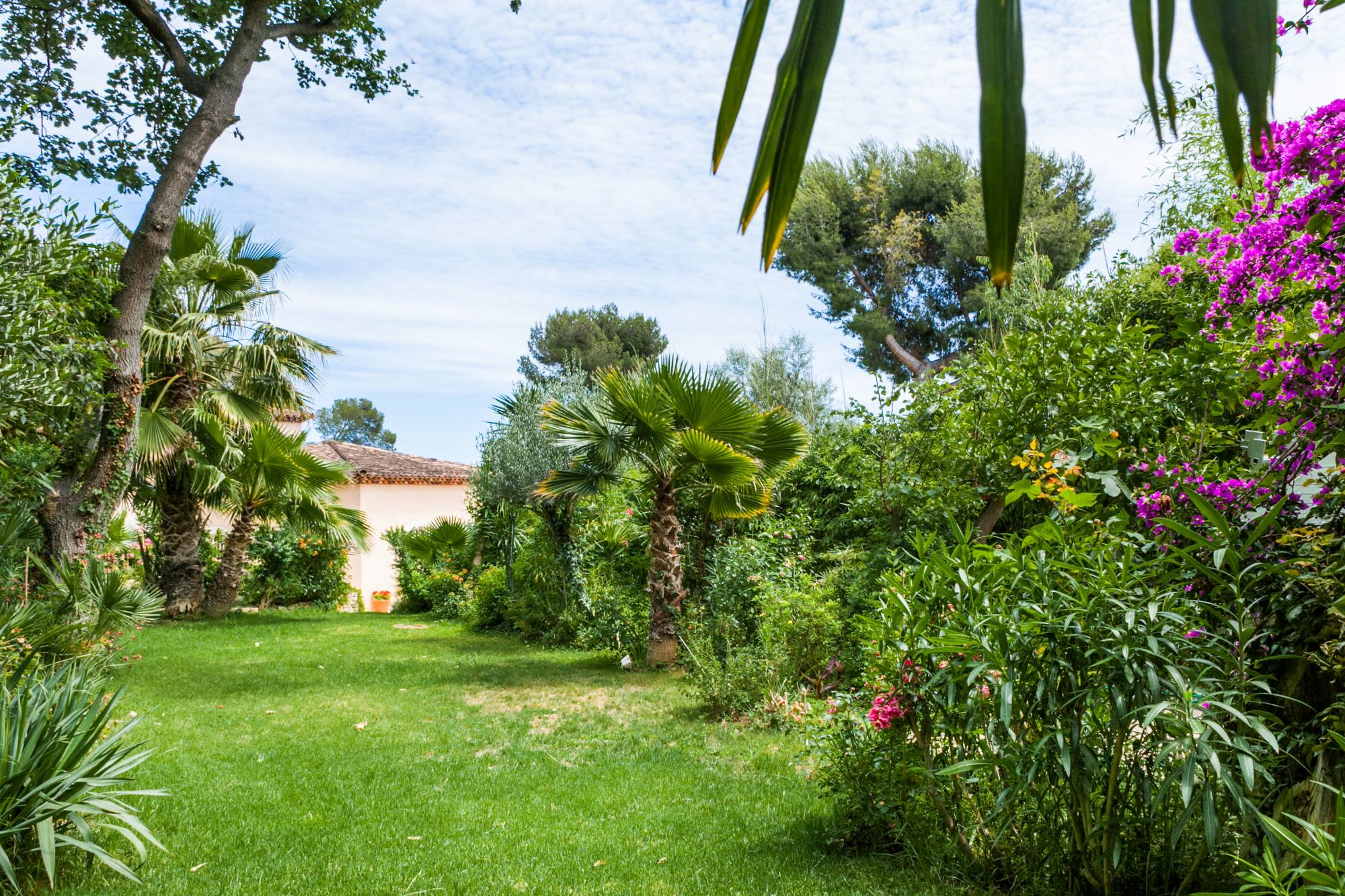 Le terrain arboré et paysager