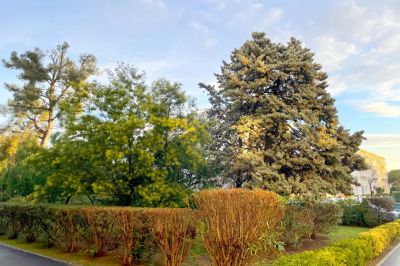 Nos prestations sur le secteur de Coste Chaude